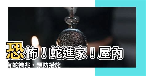 預防蛇進屋 金土行業